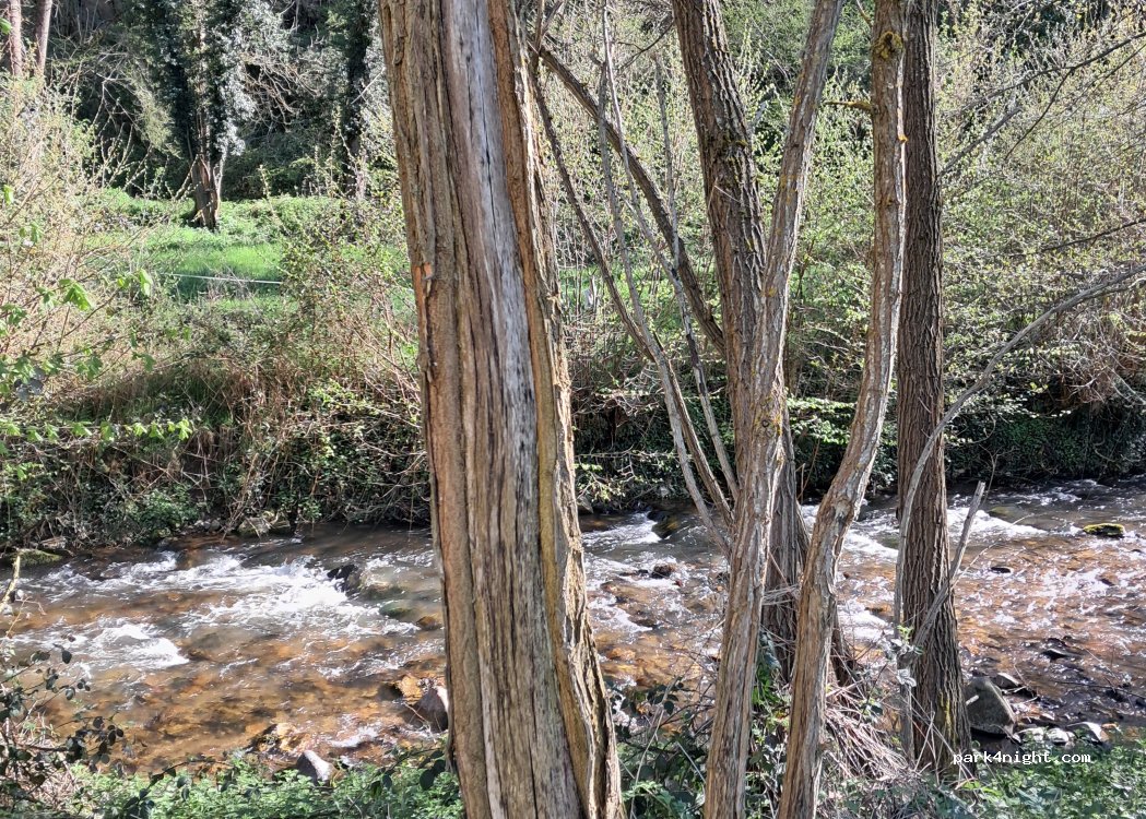 (43450) Blesle - Route du Babory — foto 4