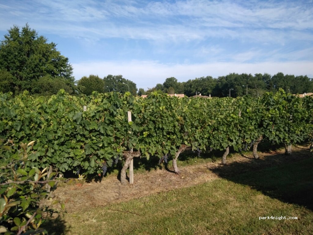 (33240) Gauriaguet - 6 Rue de la Mairie — foto 2