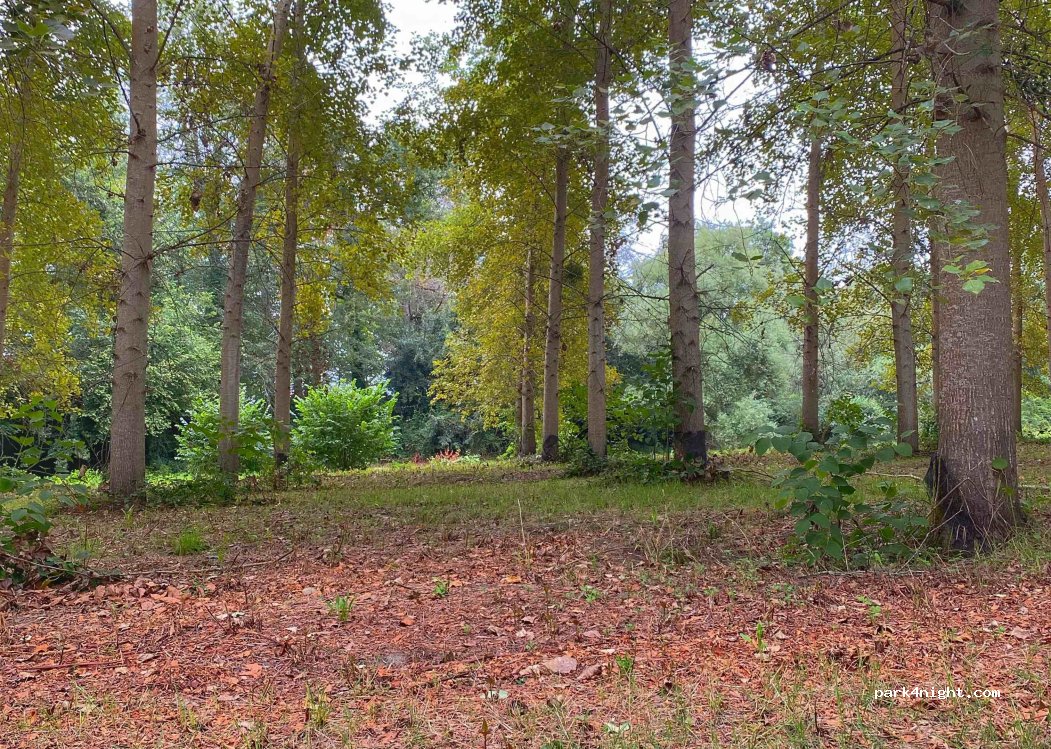 (64300) Mont - Chemin de l'Aiguillon — foto 4