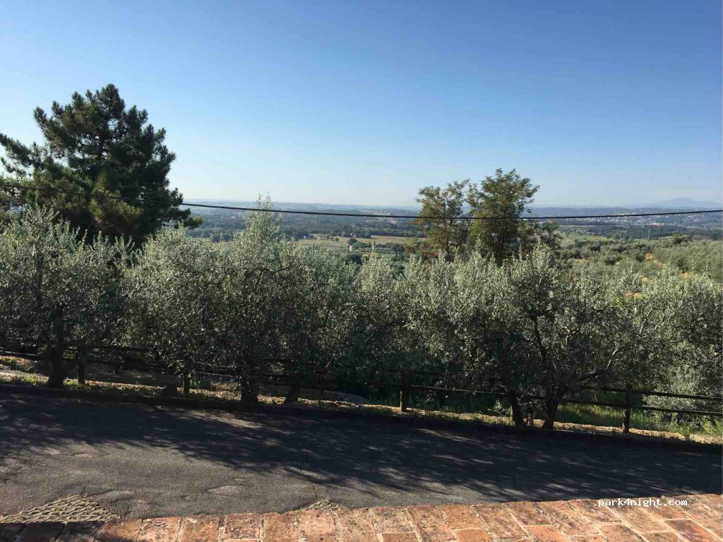 (52041) Oliveto - 7 Via delle Scuole-tegoleto — foto