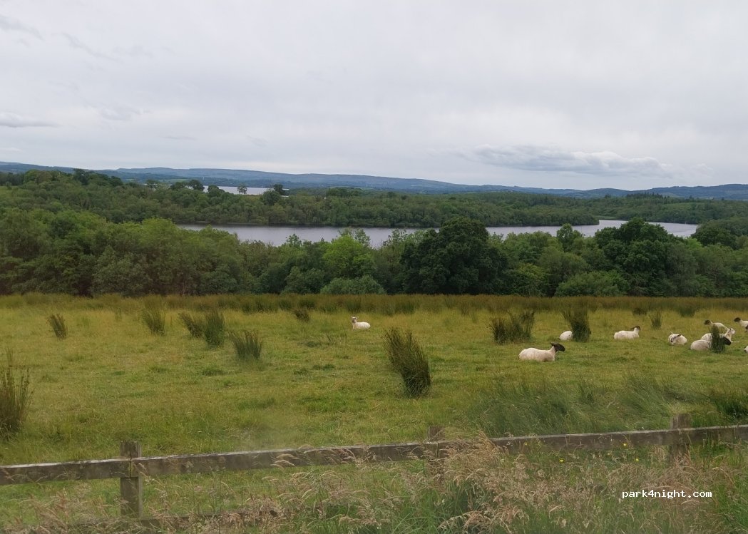 (BT93 1RR)  - Unnamed Road — foto 4