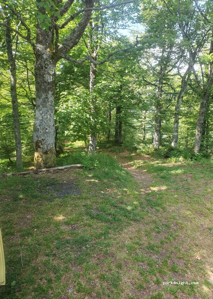 (68820) La Bresse - 175 Route des Crêtes — foto 2