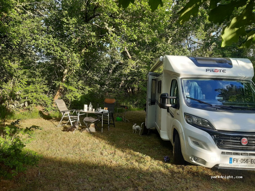 (33113) Saint-Symphorien - 4 Jouanhaut — foto 2