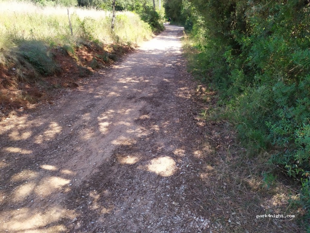 (17153) Sant Martí de Llémena - GI-532 — foto 2