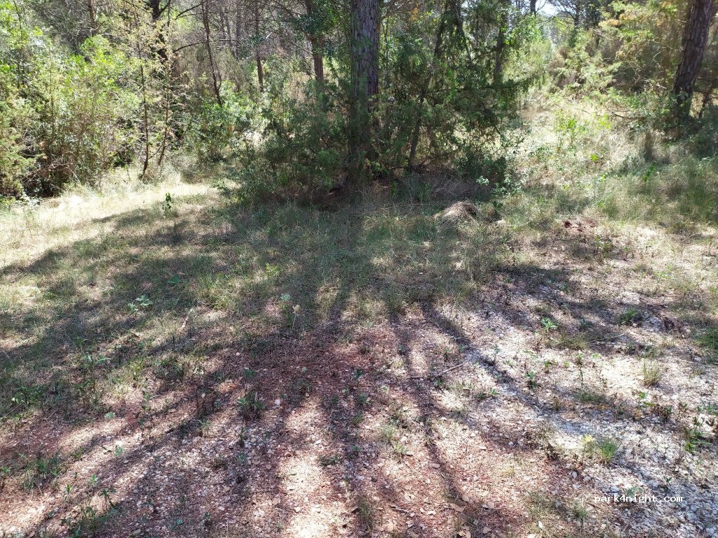 (17153) Sant Martí de Llémena - GI-532 — foto 3