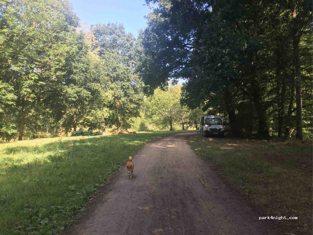 (35520) Melesse - La ville en Bois — foto 2