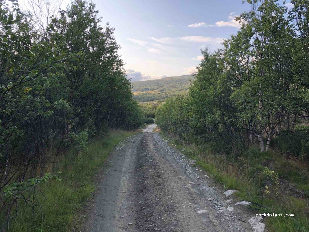 (2660)  - Primær Fylkesveg 29 — foto 2