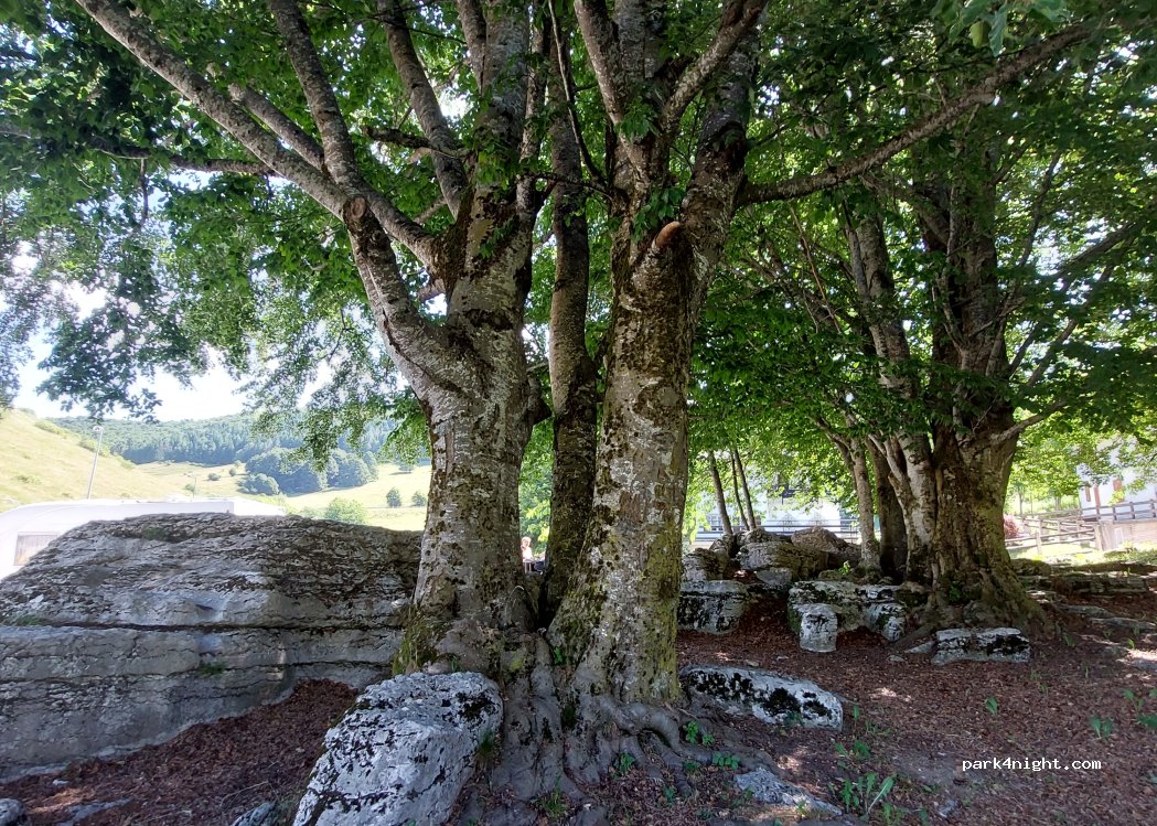 (38061) Ala - 17 Localita Sega — foto 4