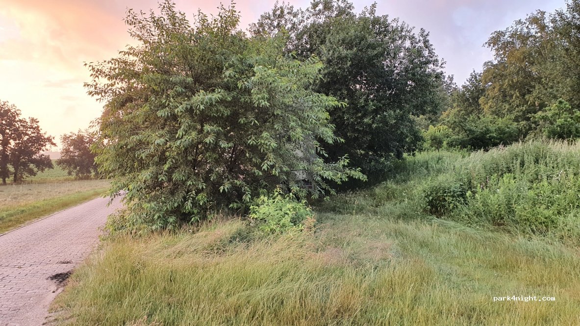 (29683) Bad Fallingbostel - 10 Bockhorner Weg — foto