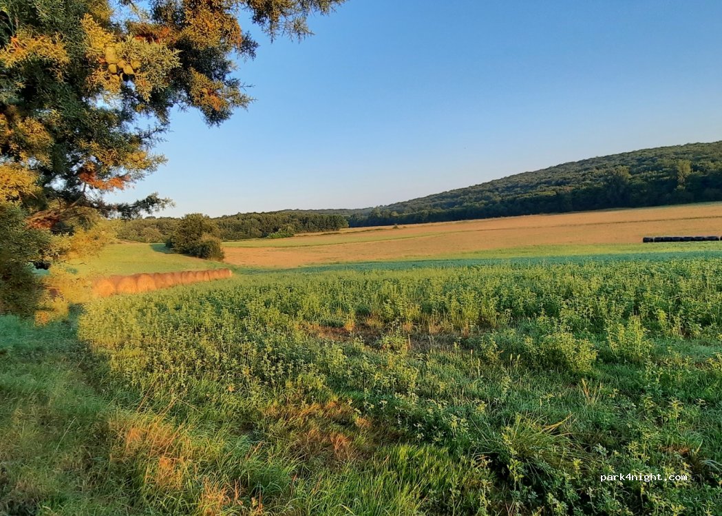 (31330) Le Burgaud - 115 Esparbes — foto 2