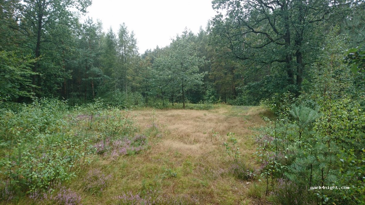 (59) Gościszów - Unnamed Road — foto 2