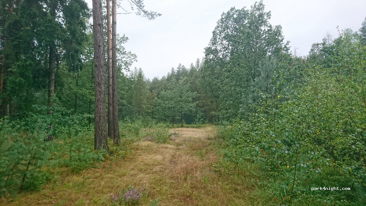 (59) Gościszów - Unnamed Road — foto 3