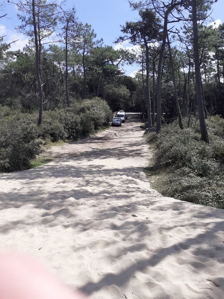 (33780) Soulac-sur-Mer - 55 Boulevard de l'Amélie — foto 3