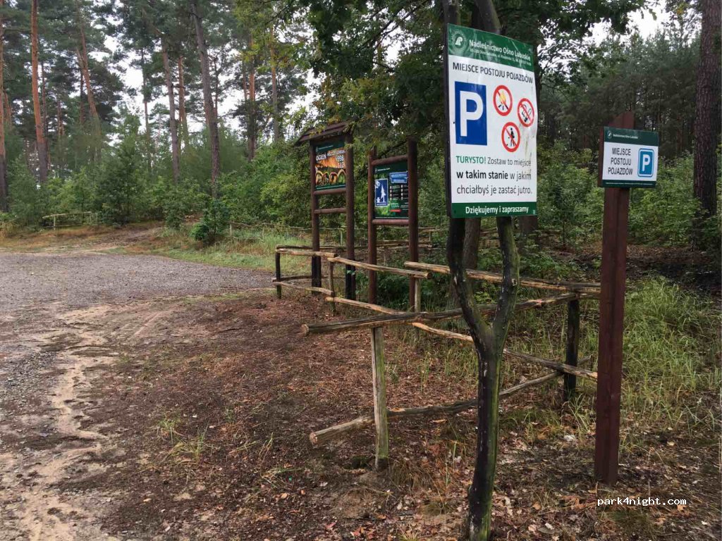 (69-220) Ośno Lubuskie - Droga Wojewódzka 137 — foto 2