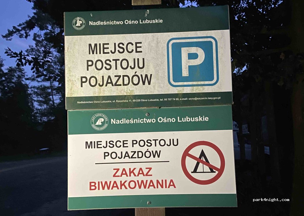 (69-220) Ośno Lubuskie - Droga Wojewódzka 137 — foto 5