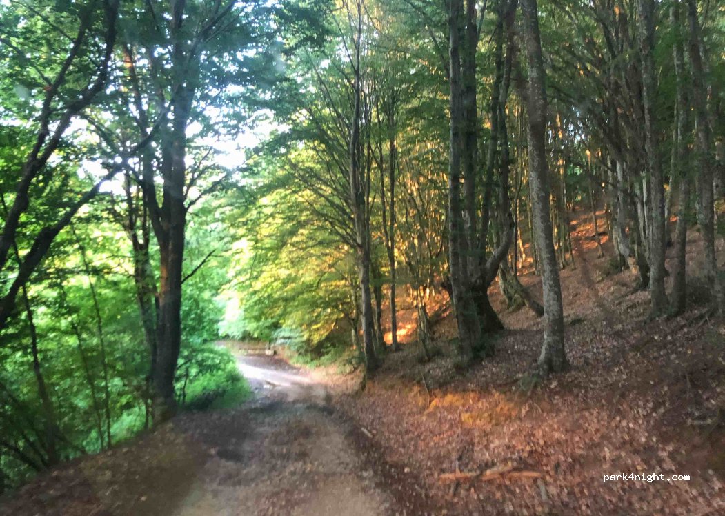 (8162) Tsentar, Malko Tarnovo - Unnamed Road — foto 3
