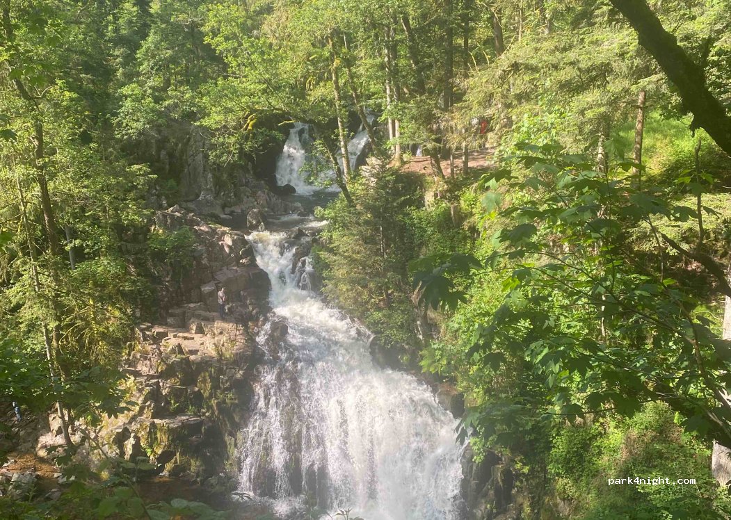 Aire de camping car privé du chevreuil blanc — foto 4