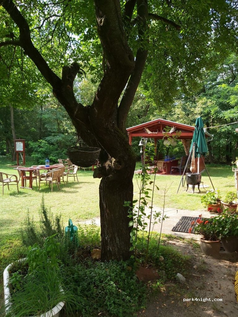 Oazis Tanya Camping — foto
