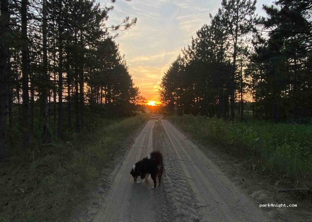 Oazis Tanya Camping — foto 2