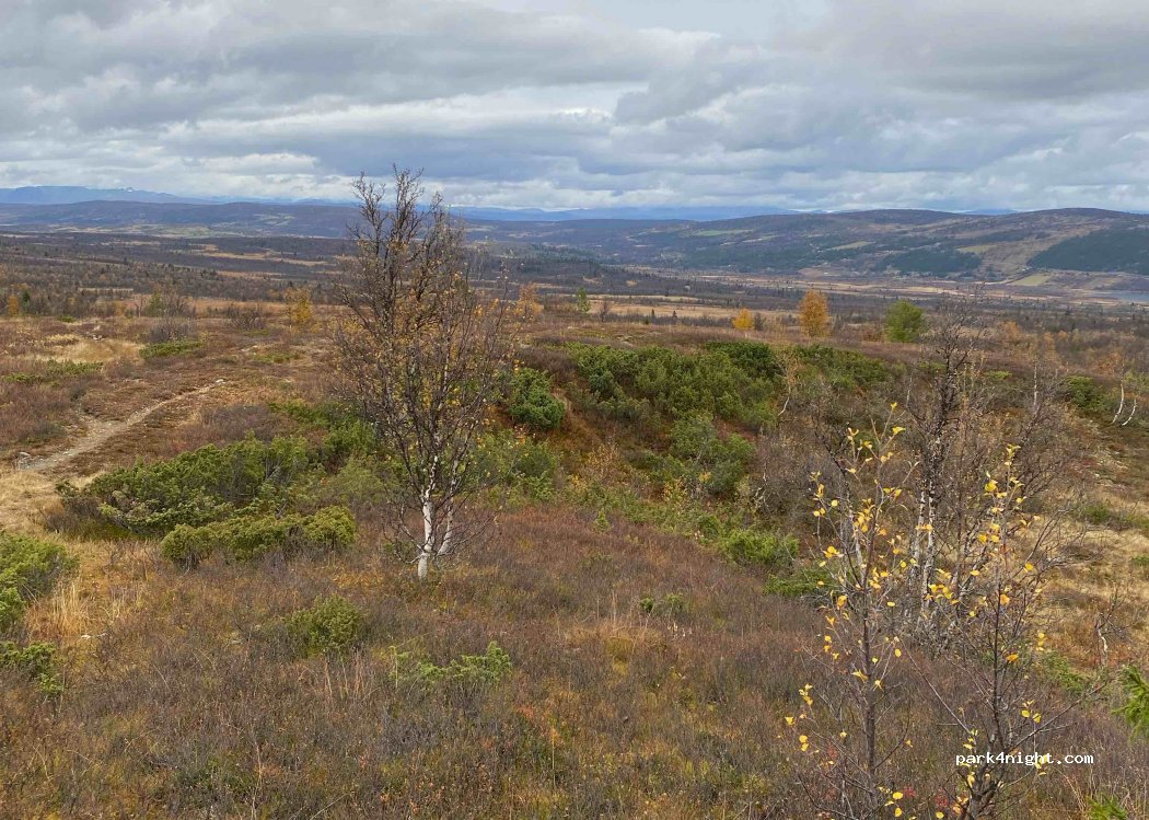 (2960) Røn - Panoramavegen — foto 3