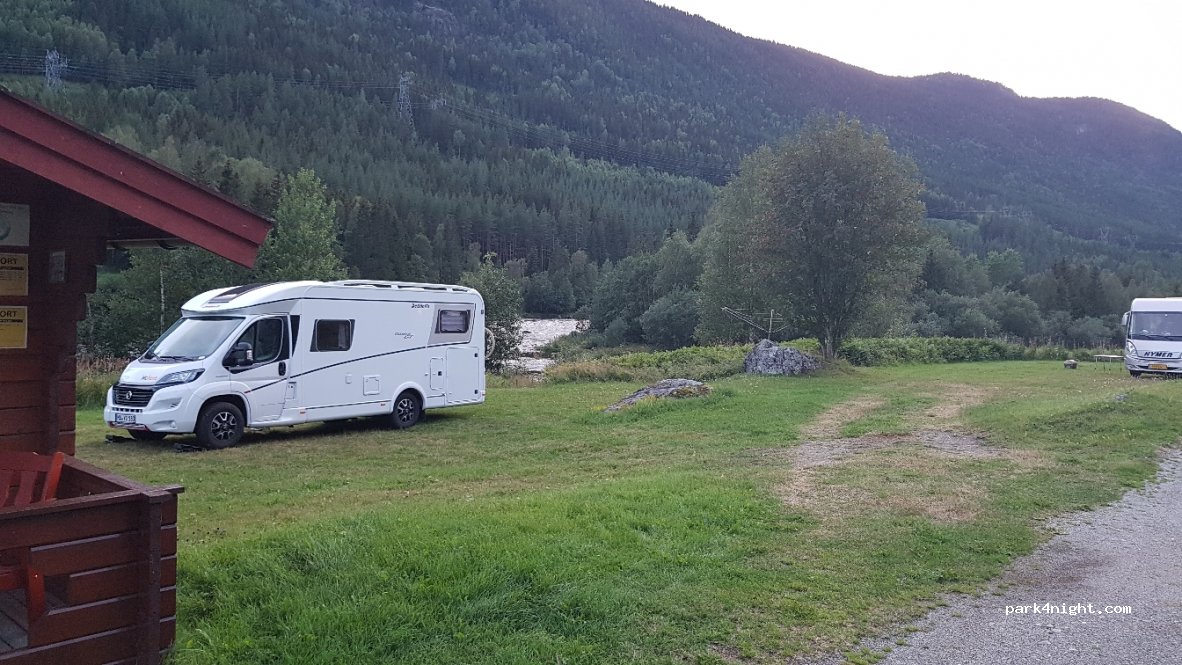 Hallingfisk — foto