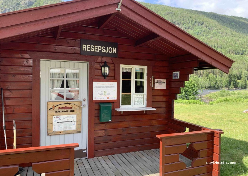 Hallingfisk — foto 2