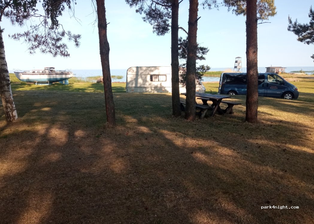 Tammispää Camping — foto 2