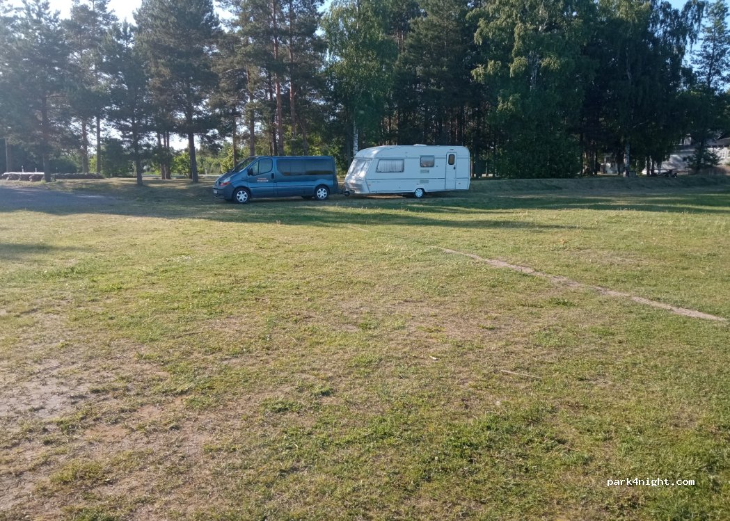 Tammispää Camping — foto 3