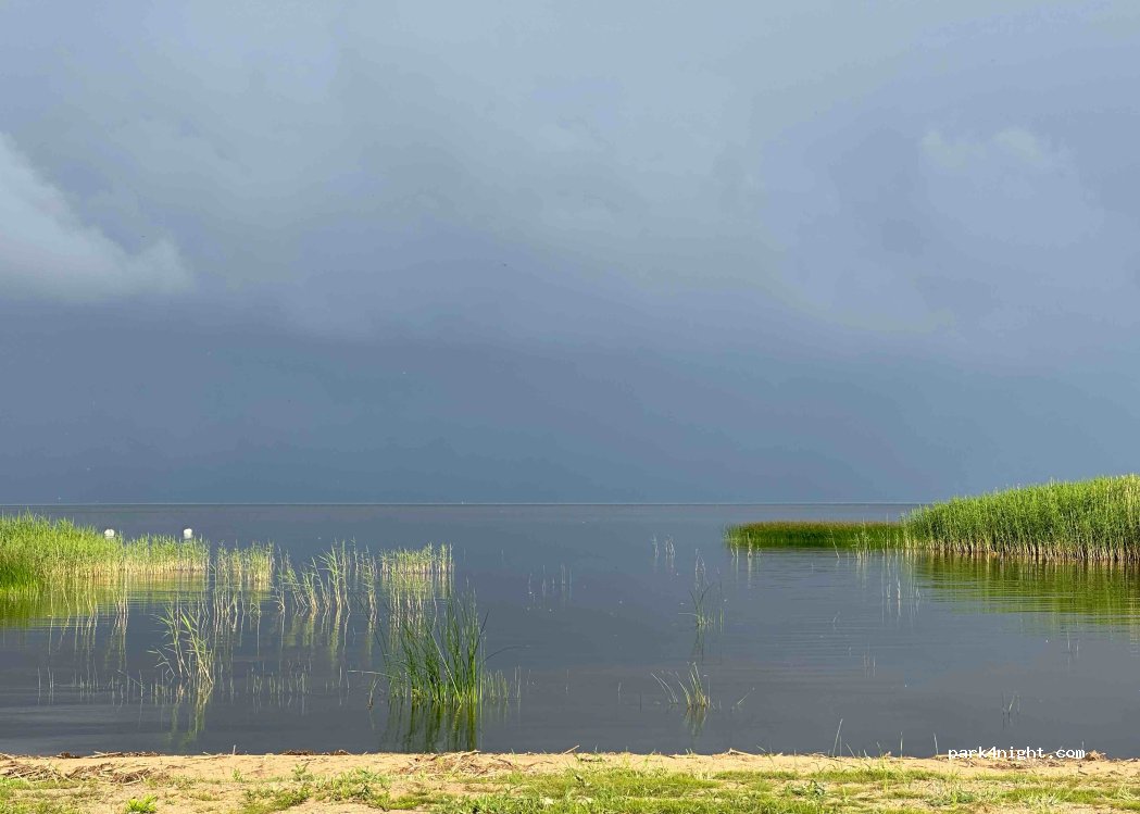 Tammispää Camping — foto 4