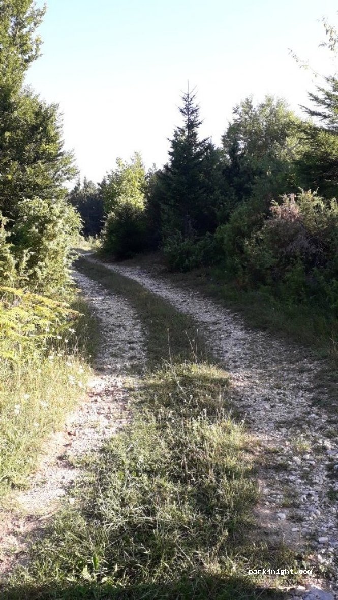 (53230) Vrelo Koreničko - D52 — foto