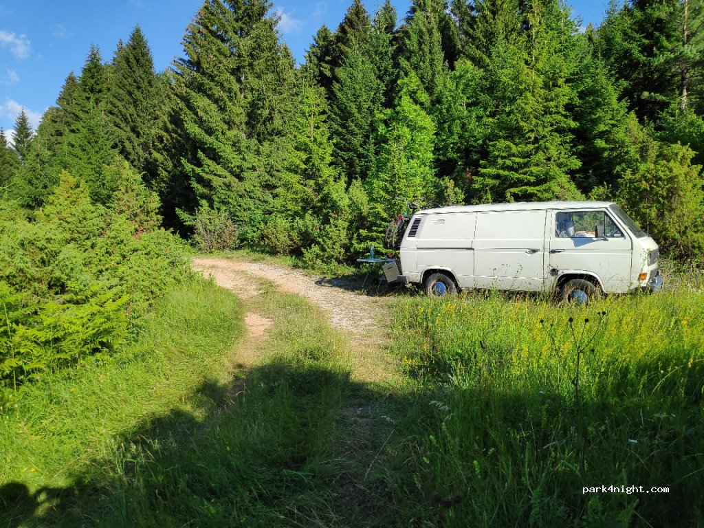 (53230) Vrelo Koreničko - D52 — foto 4