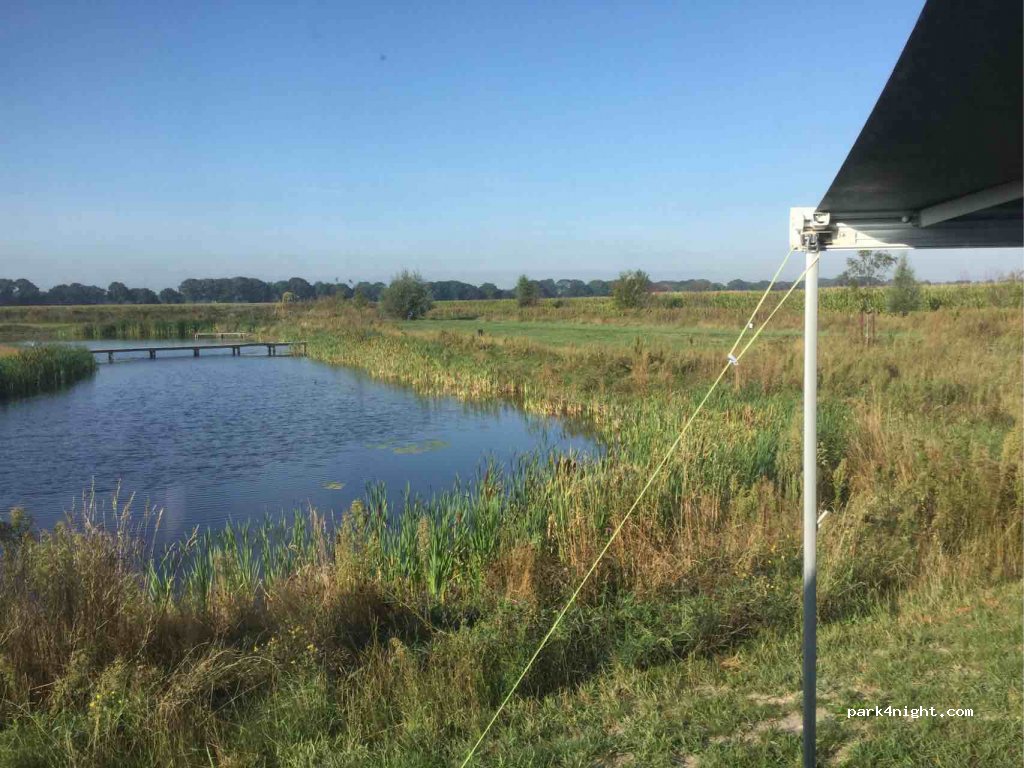 Wetland — foto 2