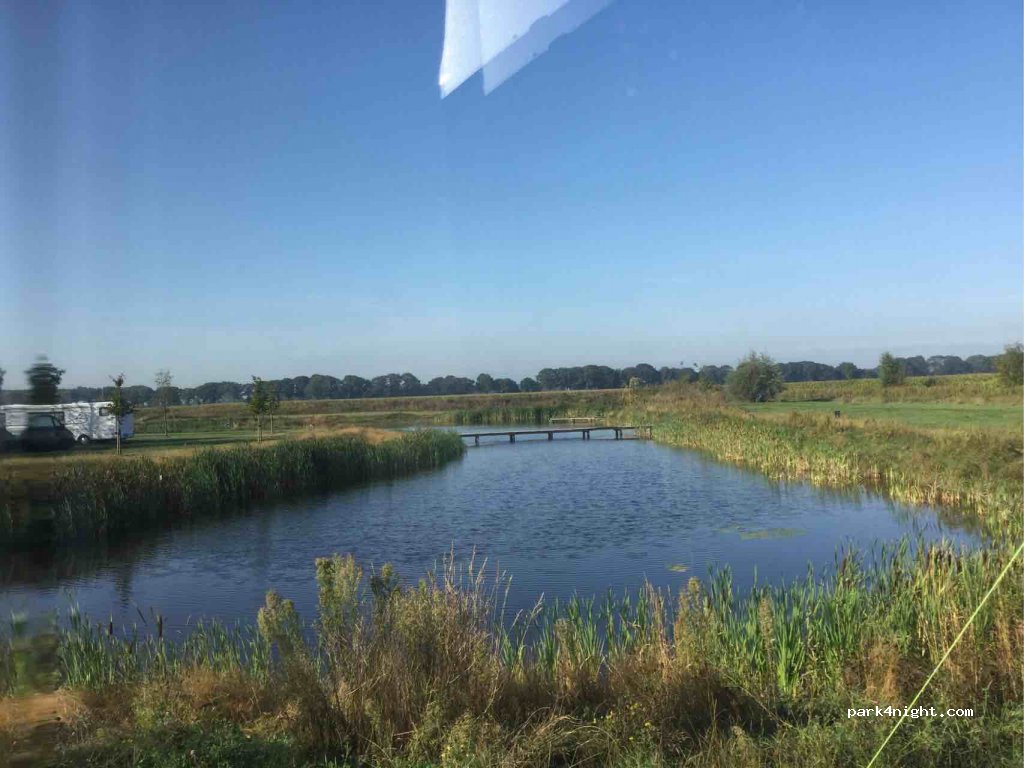 Wetland — foto 3