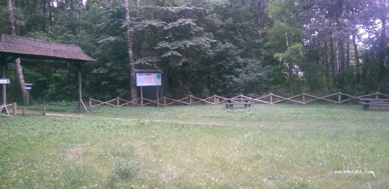 (11-500) Wilkasy - 12 Leśna — foto
