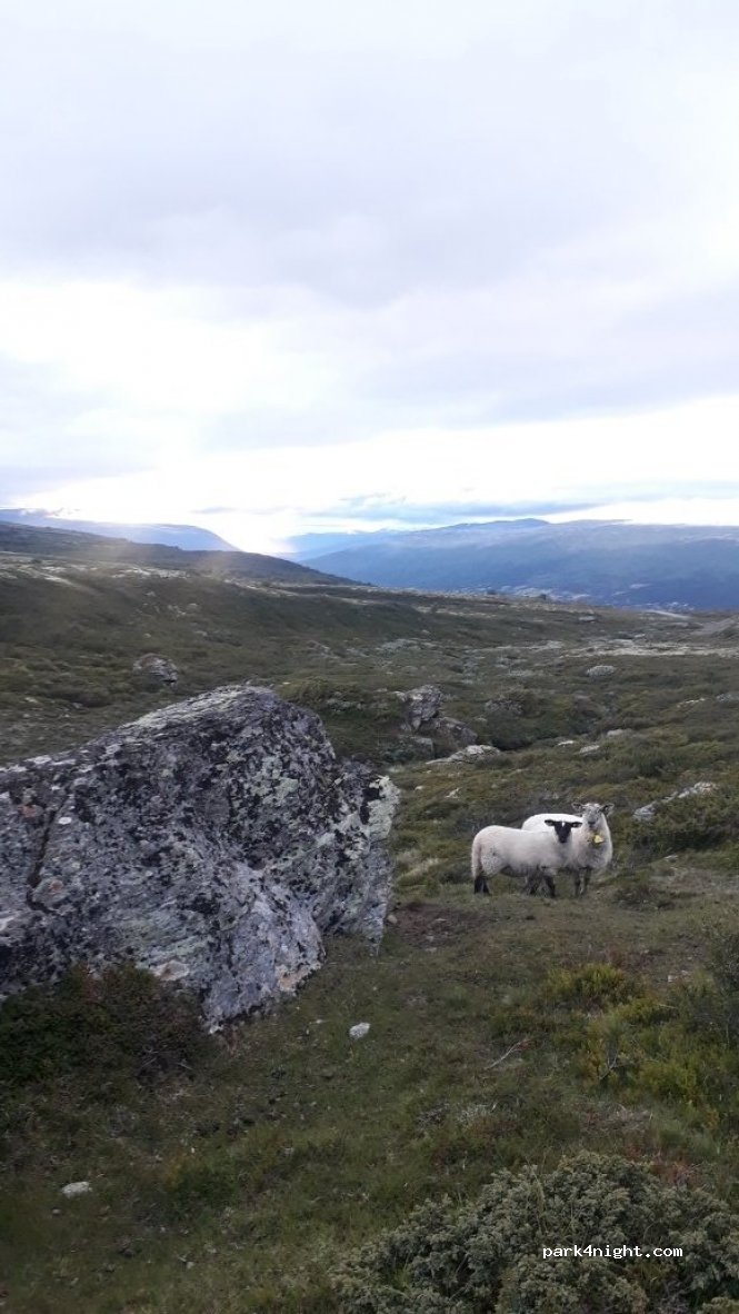 (2666) Lesja - Unnamed Road — foto 2