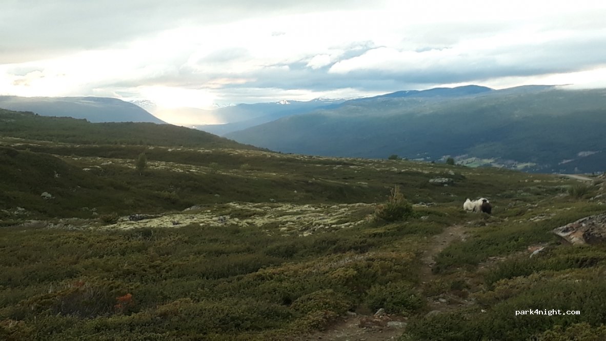 (2666) Lesja - Unnamed Road — foto 3