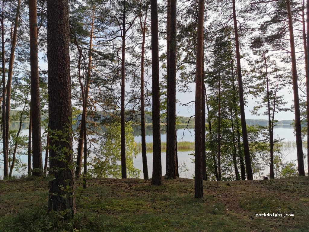 ()  - Unnamed Road — foto