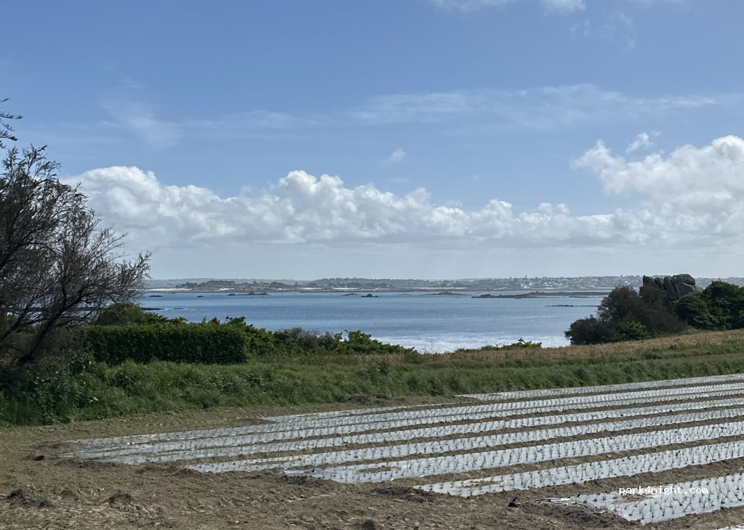 (29680) Roscoff - 1 Rue de Keraison — foto 4