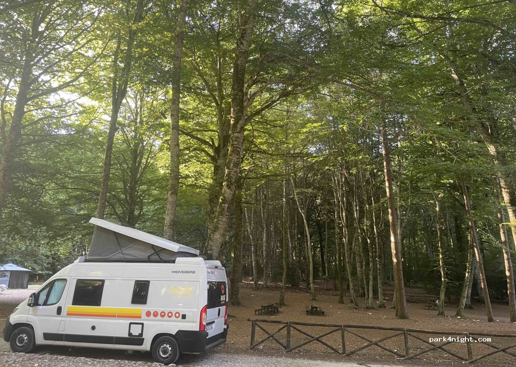 (71037) Monte Sant'Angelo - Strada Provinciale 52b — foto 2