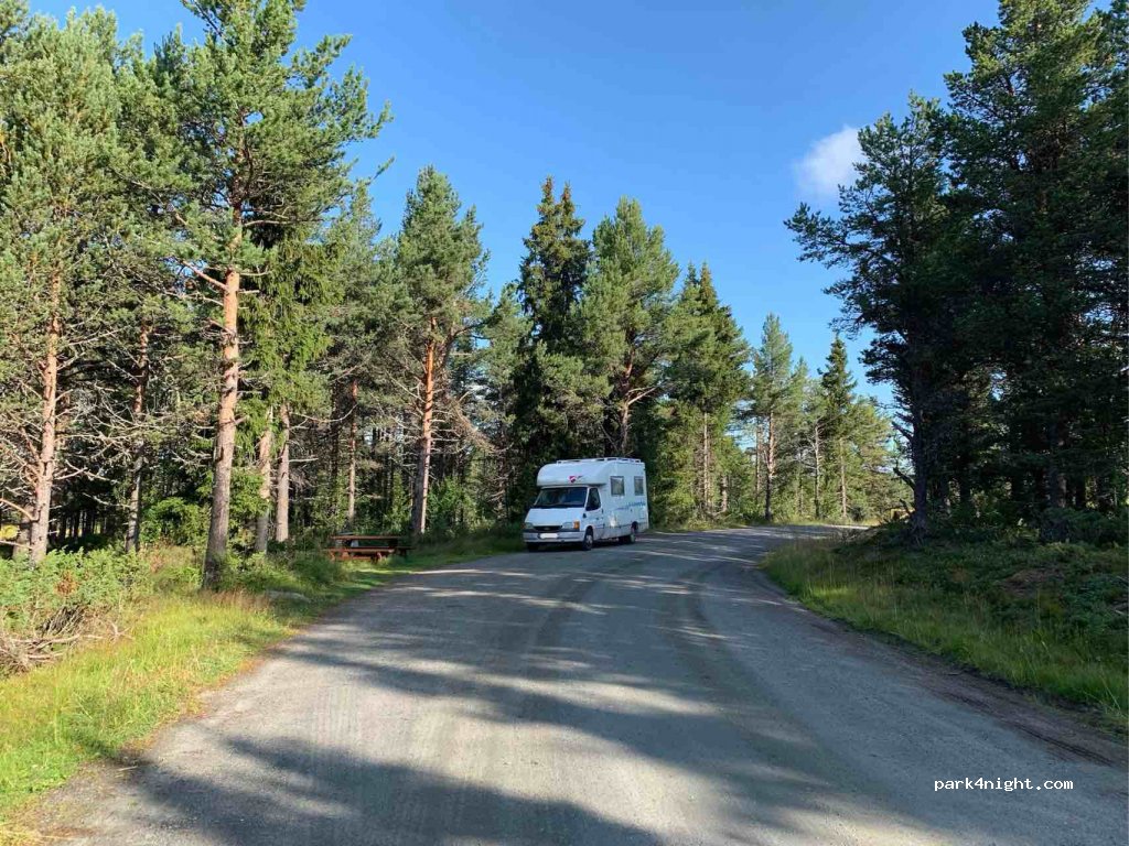 (2923) Tisleidalen - 76 Primær Fylkesveg 51 — foto