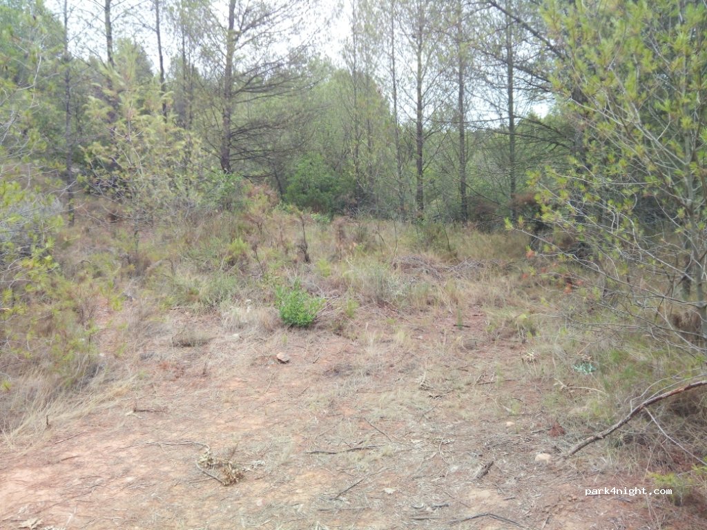 (12200) L'Alcora - Unnamed Road — foto