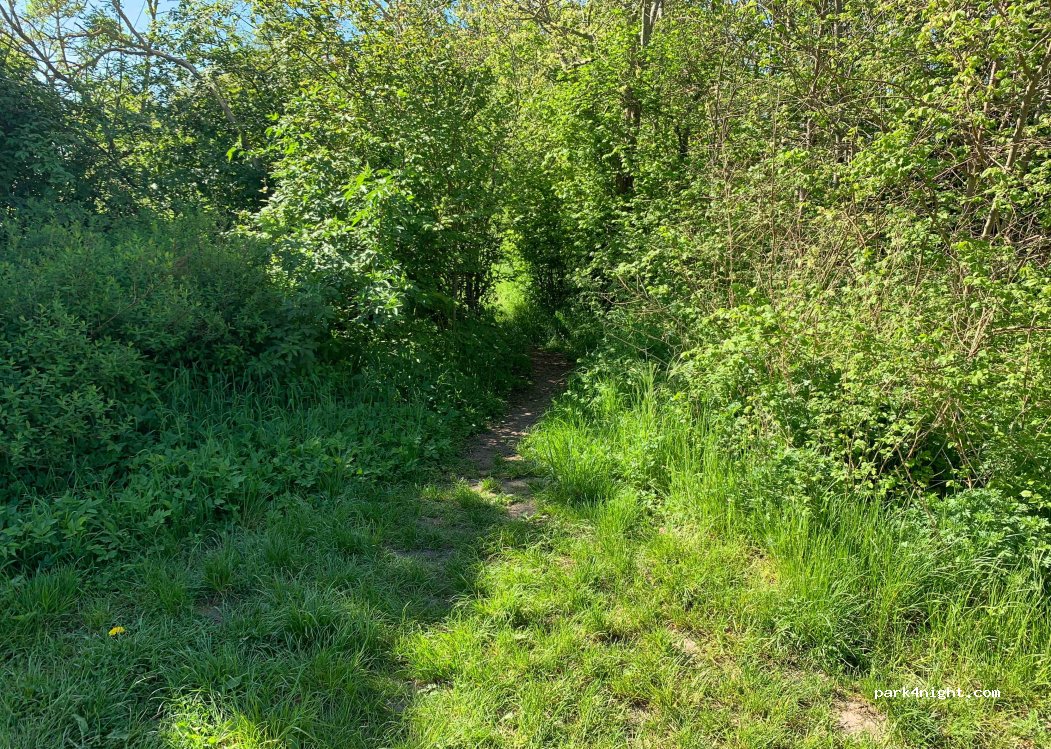 (3630) Jægerspris - 209 Kulhusvej — foto 2