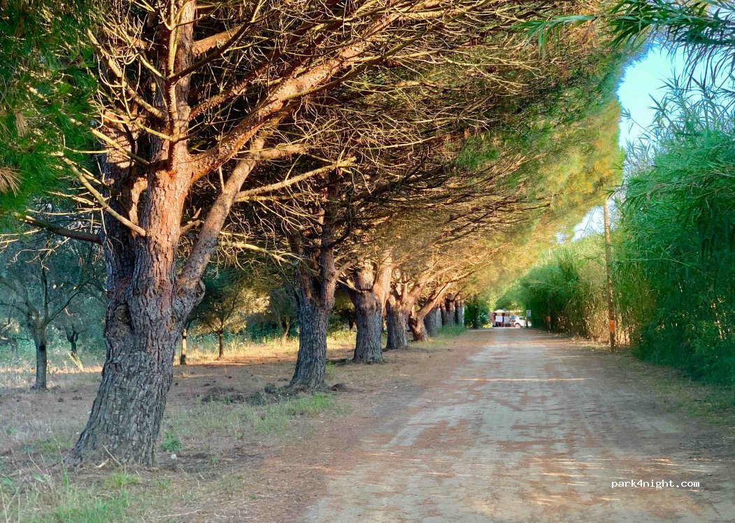CAMPING BATTINI — foto