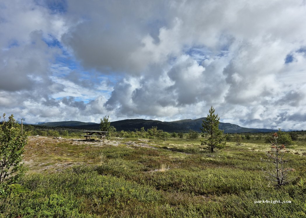 (2480)  - Vinjevegen — foto 4