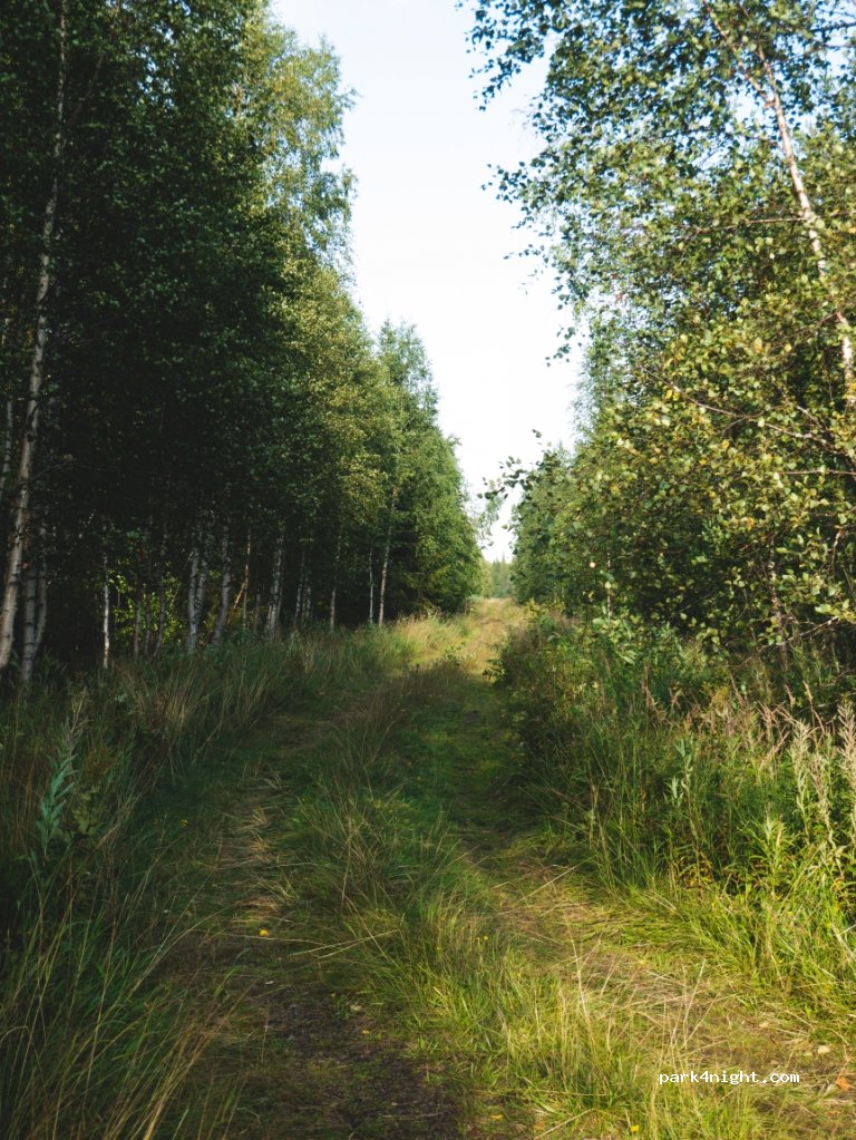 (95160)  - 140 Sammakkovaarantie — foto 3