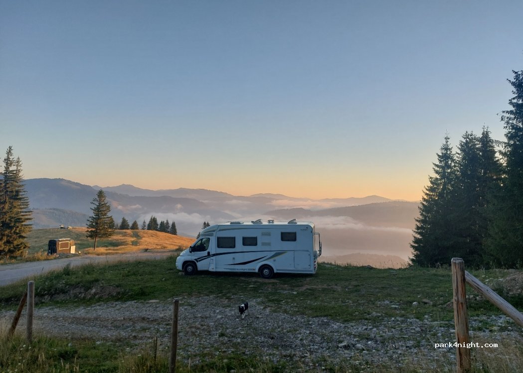 (617125) Ceahlău - DJ155F — foto 3