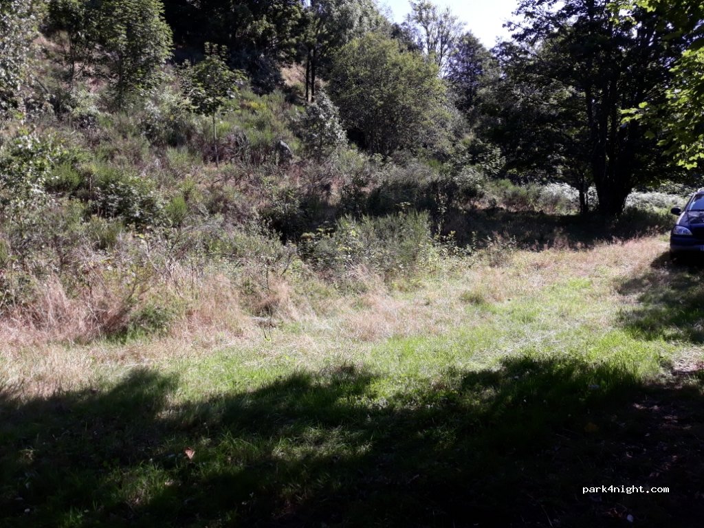 (88250) La Bresse - Route de la Basse des Feignes — foto