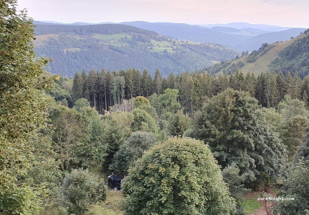 (88250) La Bresse - Route de la Basse des Feignes — foto 2