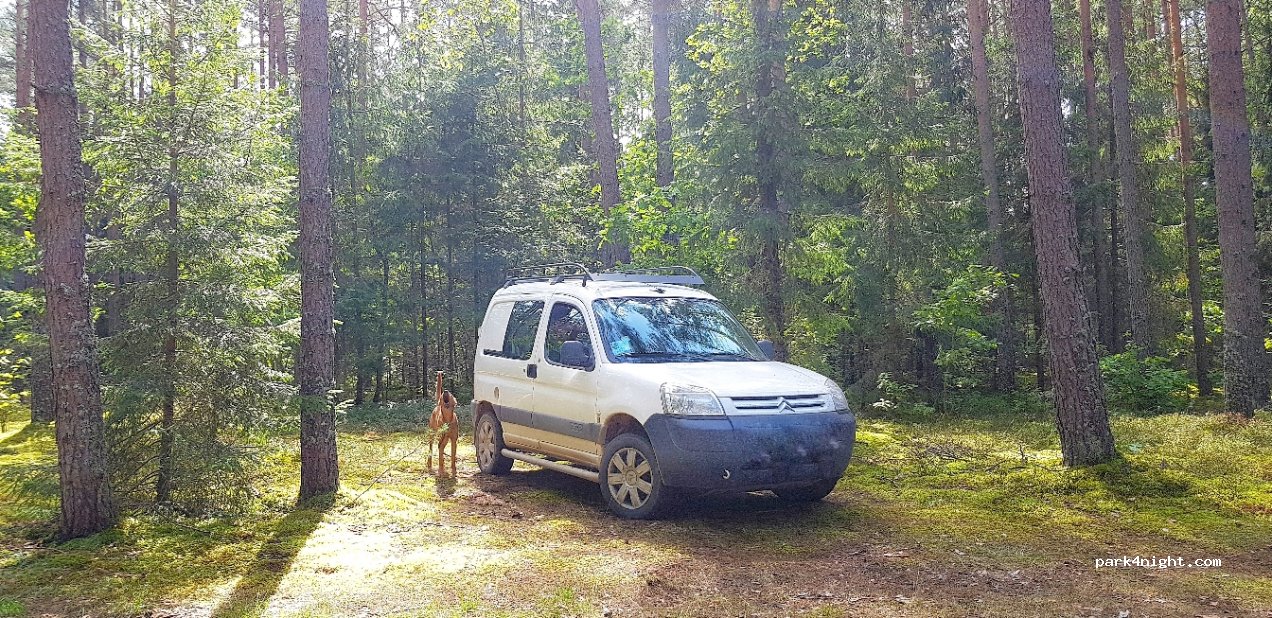 (5470) Skrudalienas pagasts - Unnamed Road — foto