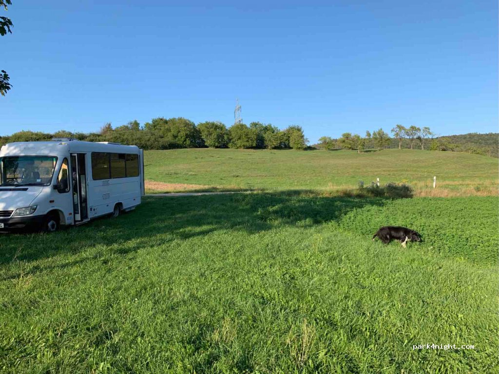 (91604) Flachslanden - AN21 — foto 2